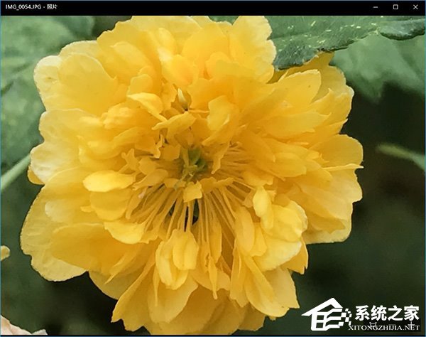 Windows10电脑如何正确显示iPhone7拍摄的照片？